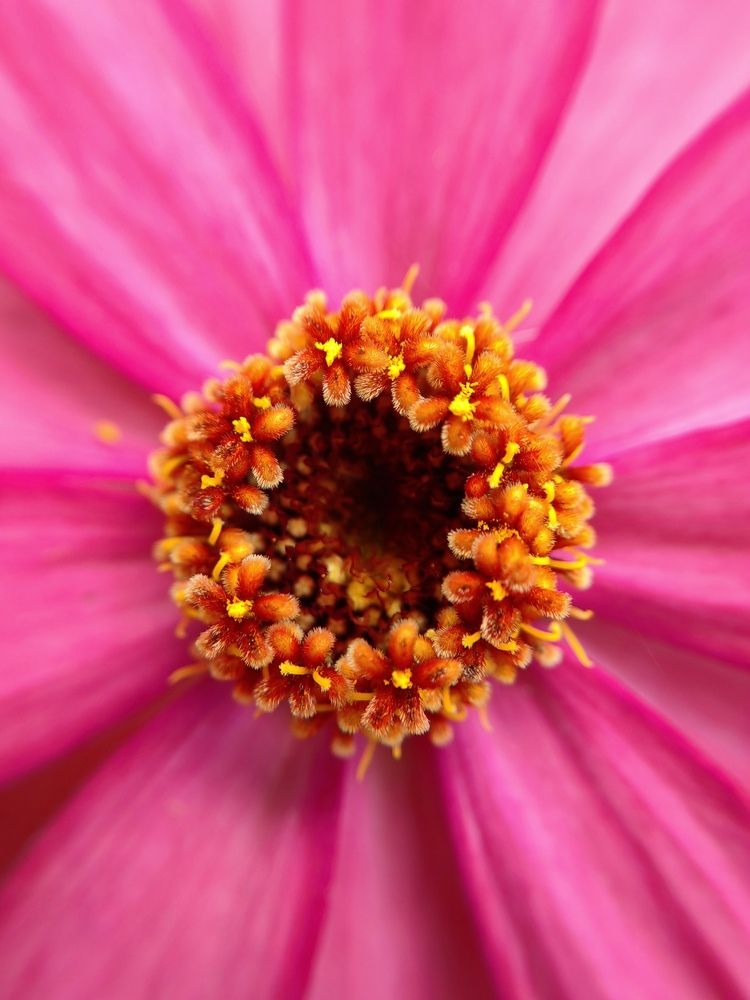 Photograph by Полина Мальцева