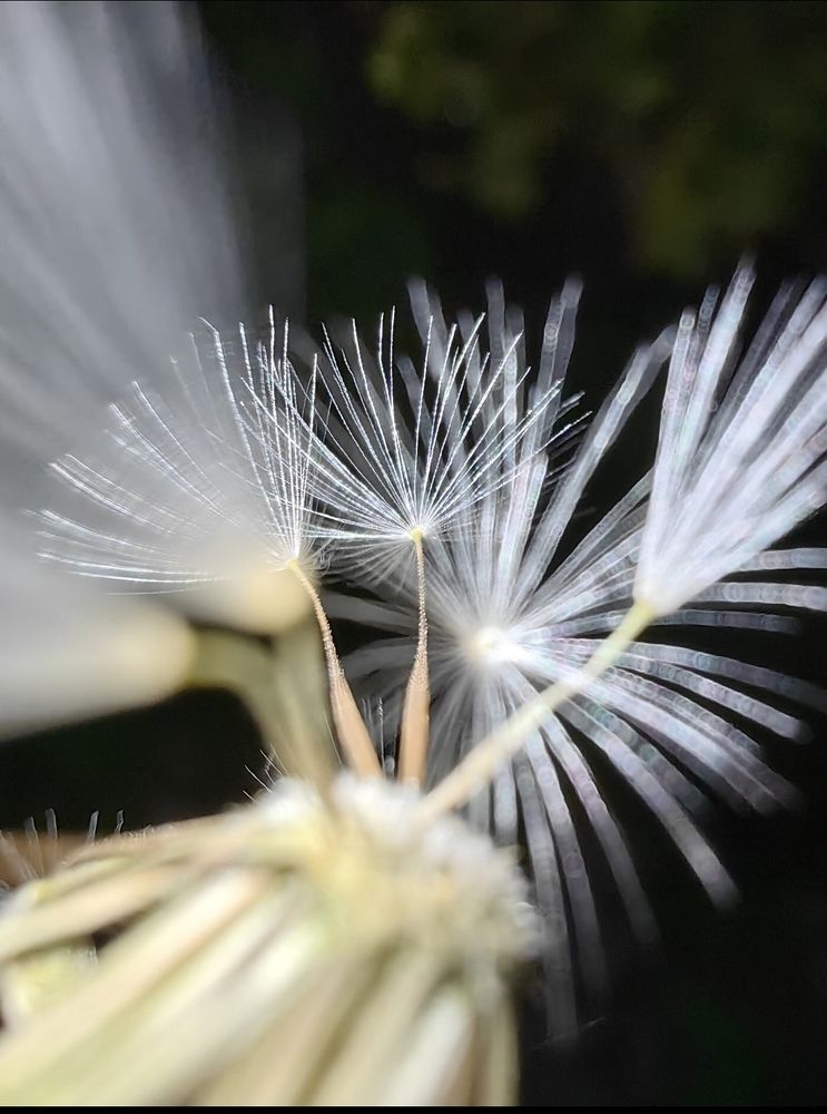 Photograph by Ирина Тихая