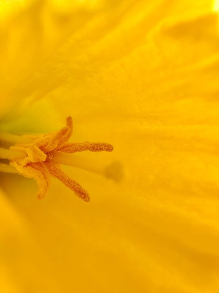 Photograph by Olga Gorokhova