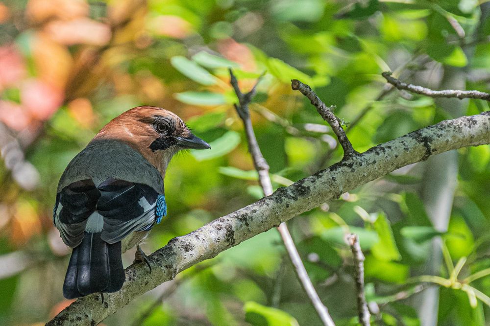 Photograph by Андрей Бородкин