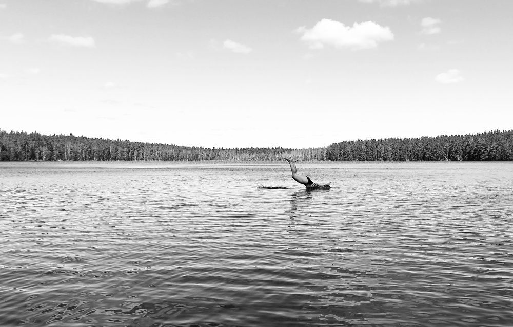 Photograph by Ольга Левакова