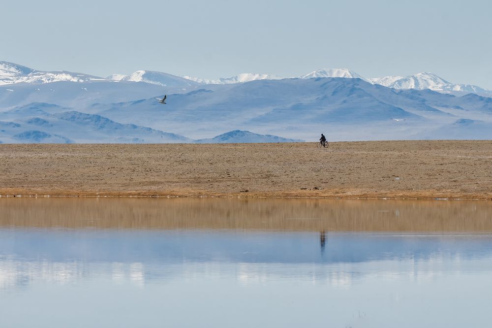 По Чуйской степи.