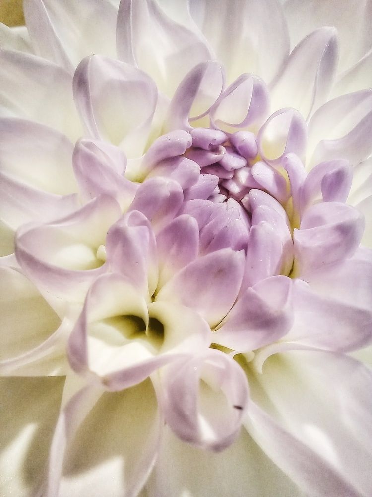 Photograph by 