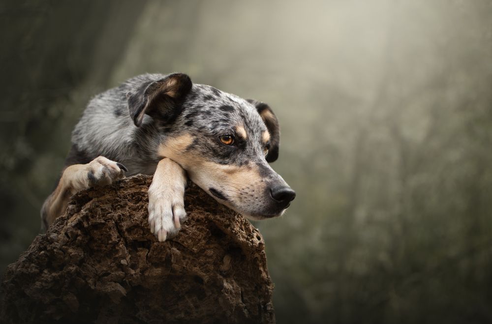 Photograph by leticia pascual garcia