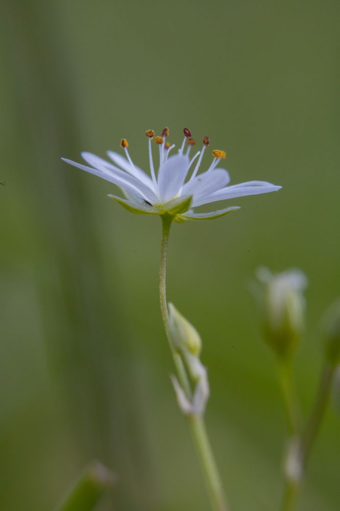 Photograph by Артём Малышев