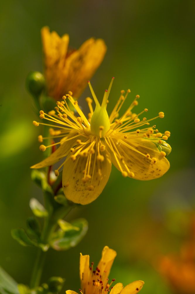 Photograph by Артём Малышев