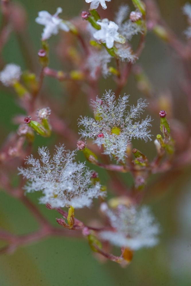 Photograph by Артём Малышев