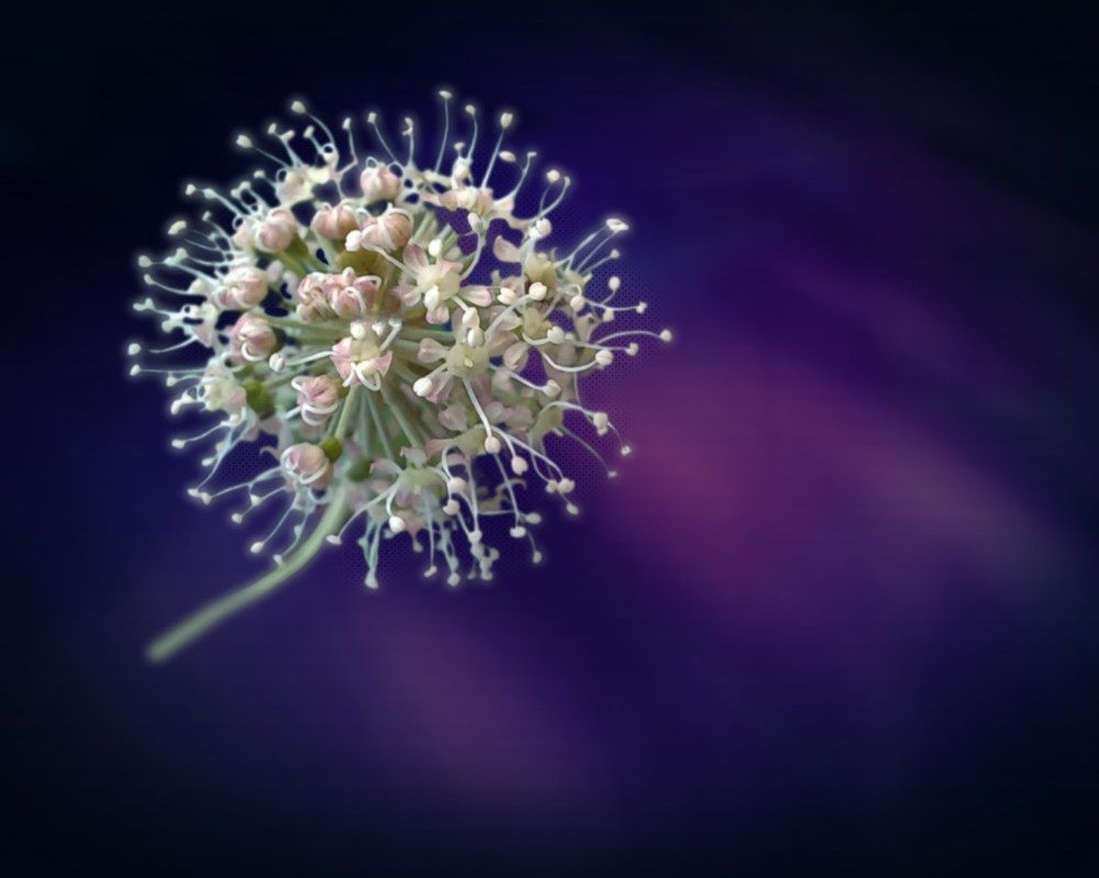 Photograph by Люда Яковлева