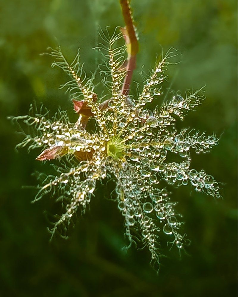 Photograph by Люда Яковлева