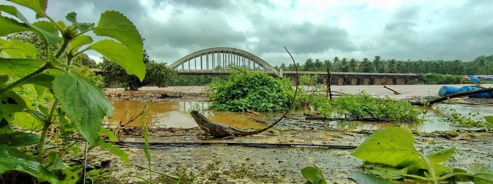Photograph by prabhakar Gujjarappa
