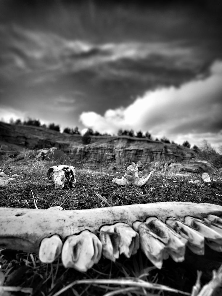 Photograph by Lenar Valeev