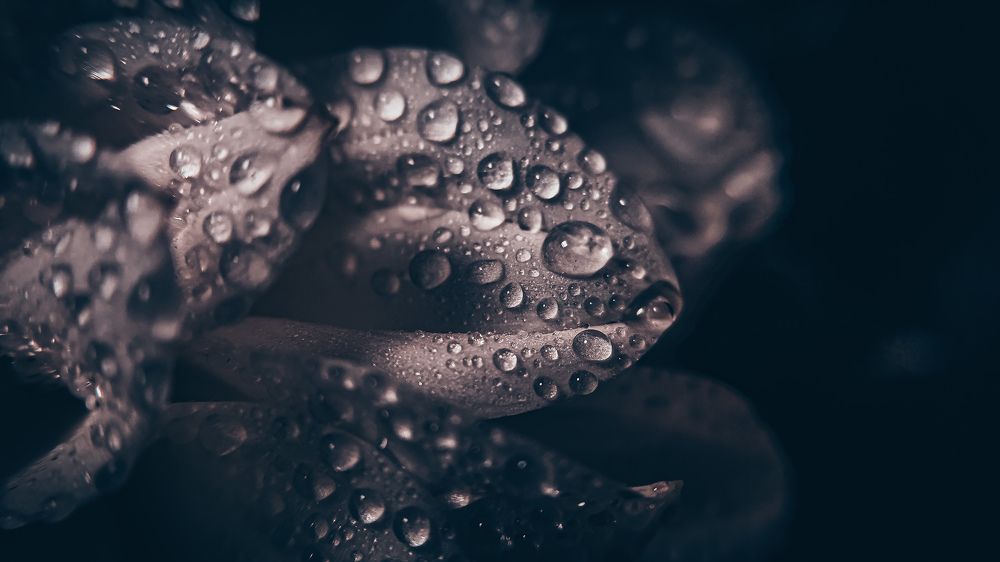 Photograph by Екатерина Мурсынина