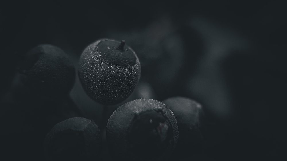 Photograph by Екатерина Мурсынина