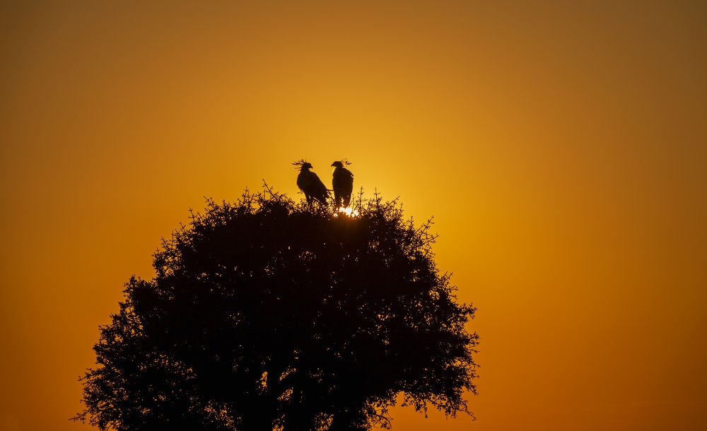 Фотография автора Sajeev Krishnan