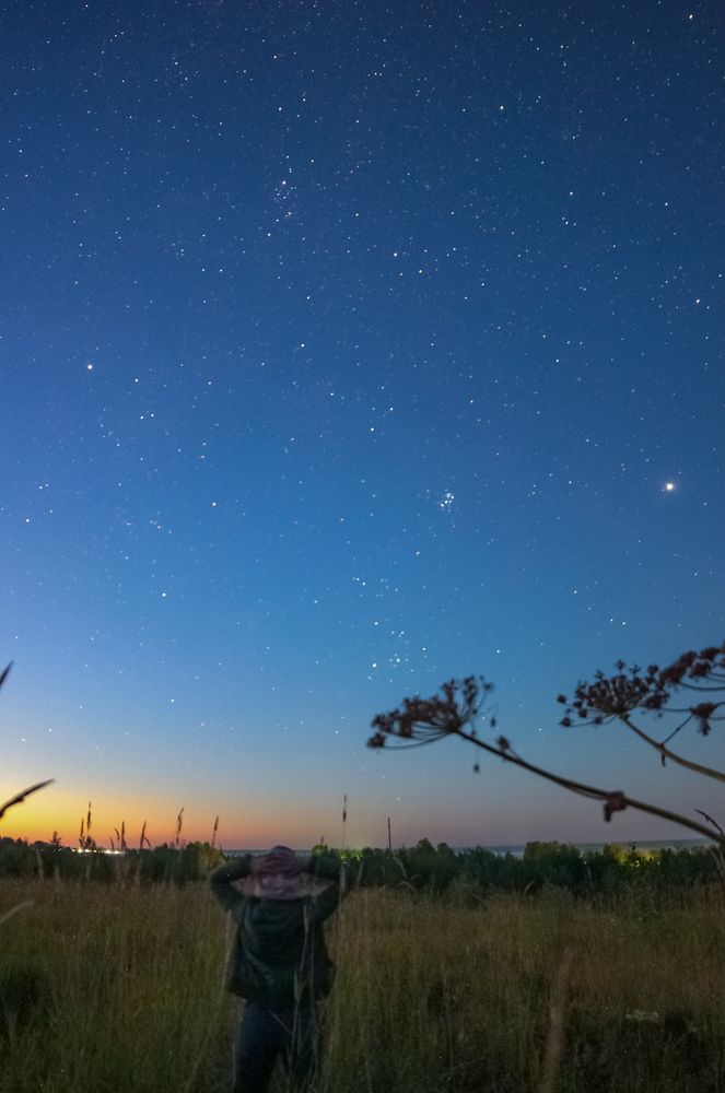 Photograph by Александра Головина