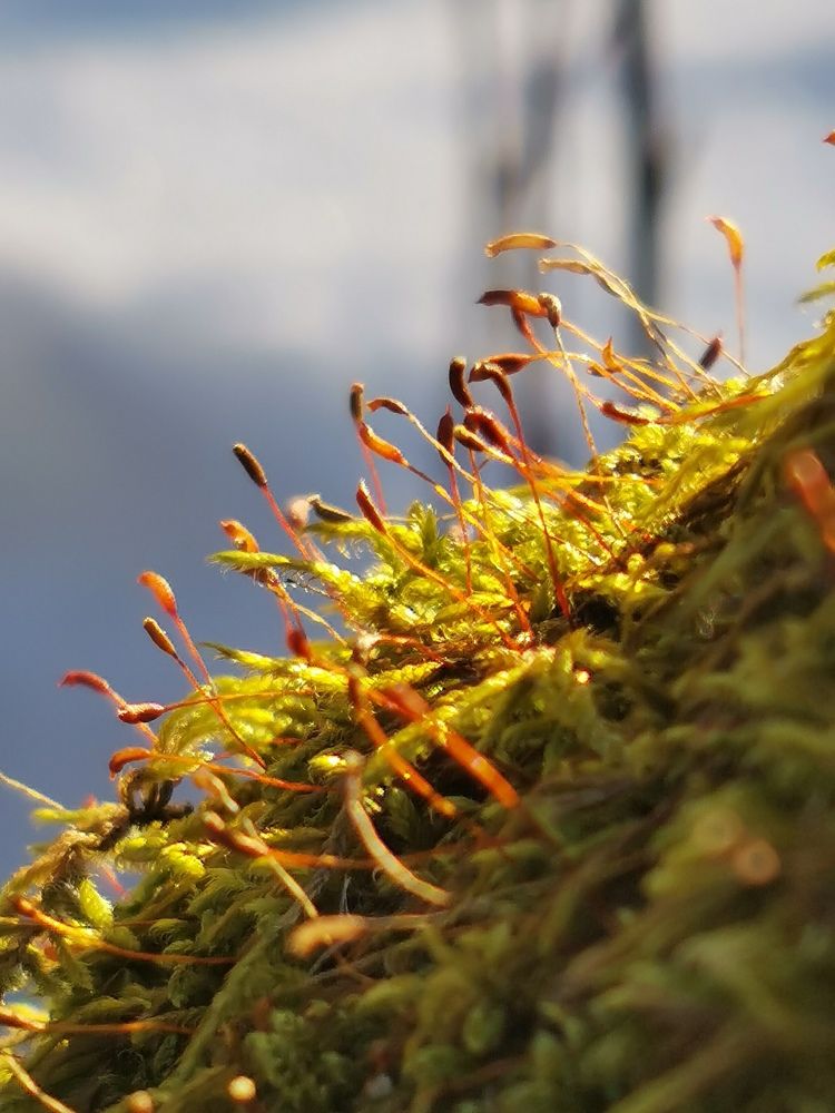 Photograph by Елена Акимова