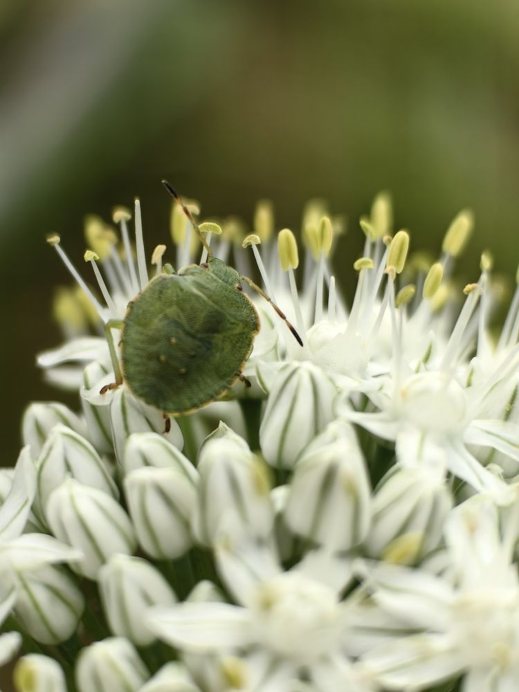 Photograph by Елена Акимова