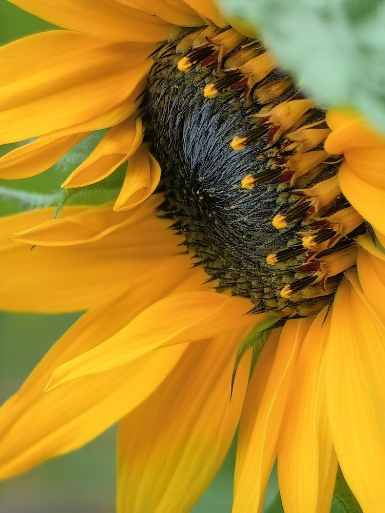 Photograph by Елена Акимова