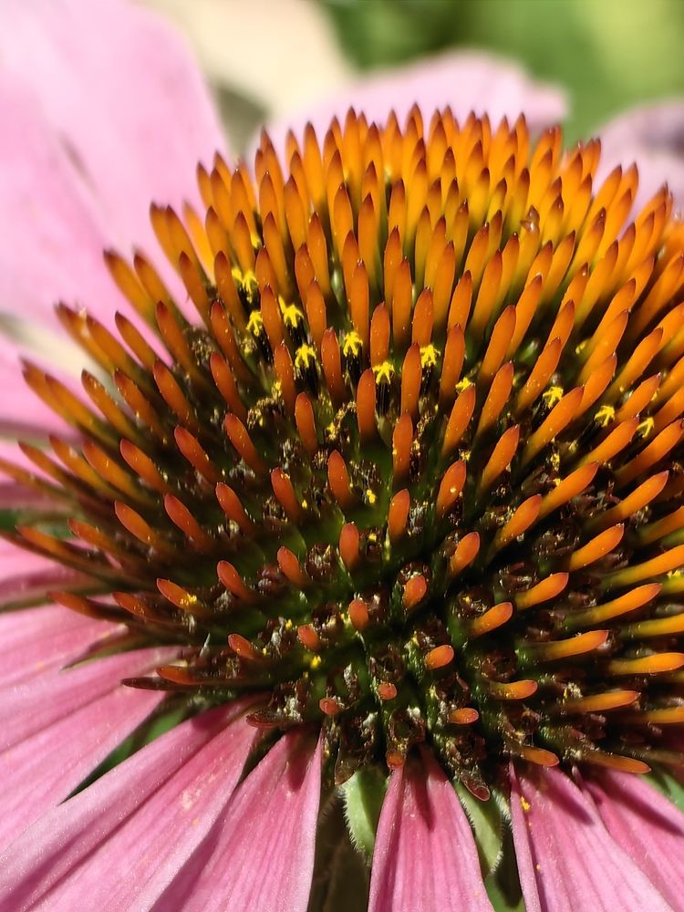 Photograph by Елена Акимова