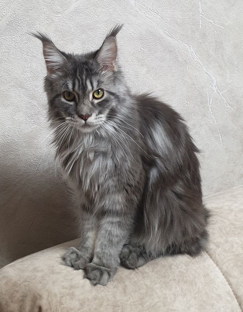 Фотография автора Татьяна Канашина