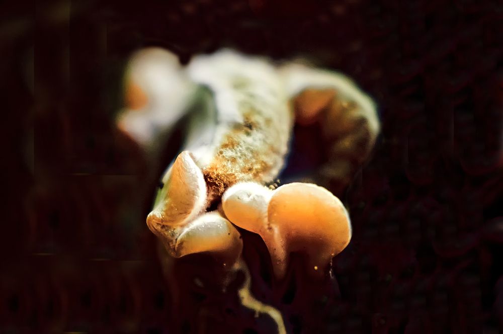 Photograph by Андрей Барышников