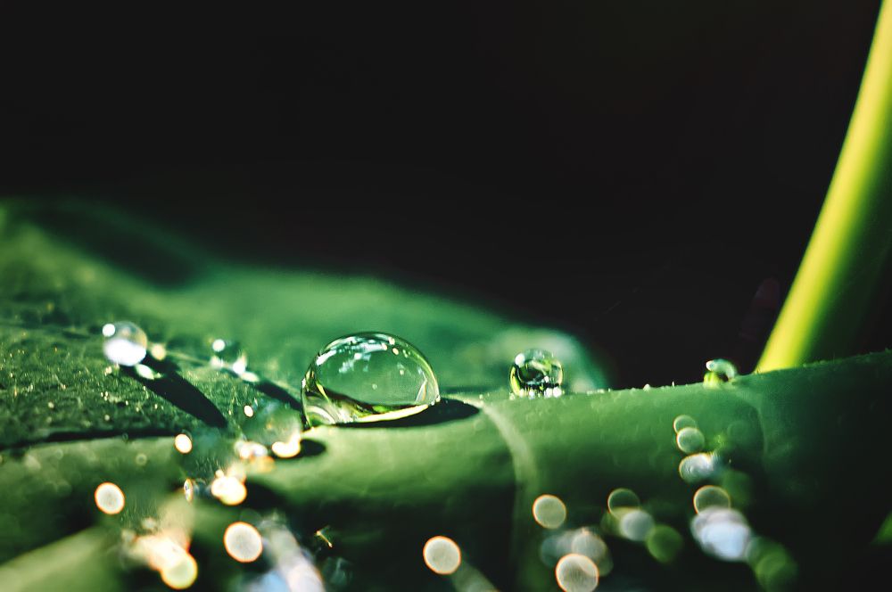 Photograph by Андрей Барышников