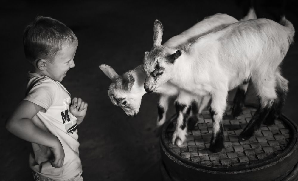 в гостях у фермера