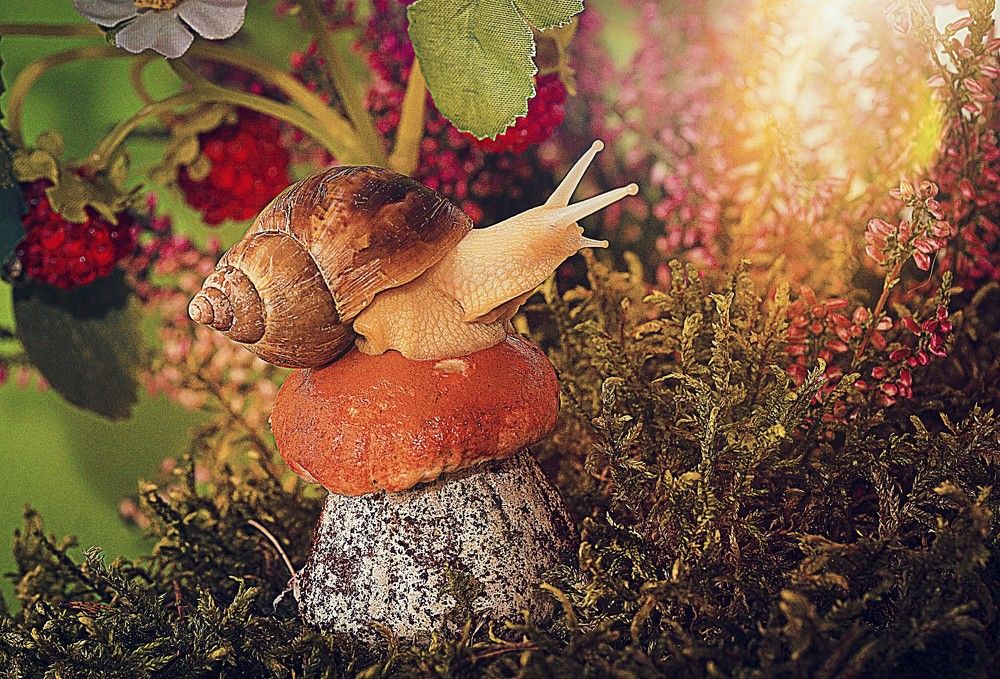 Photograph by Людмила ЧЕРНИКОВА