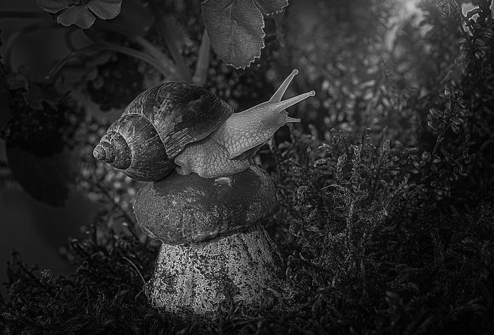 Photograph by Людмила ЧЕРНИКОВА