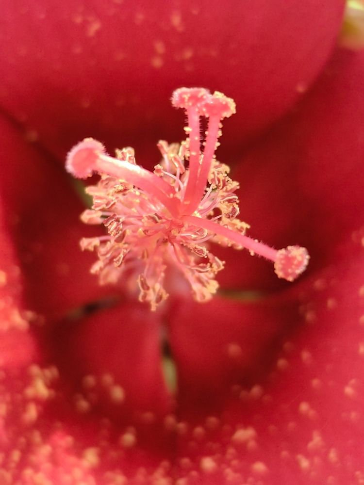 Photograph by Ирина Тихая