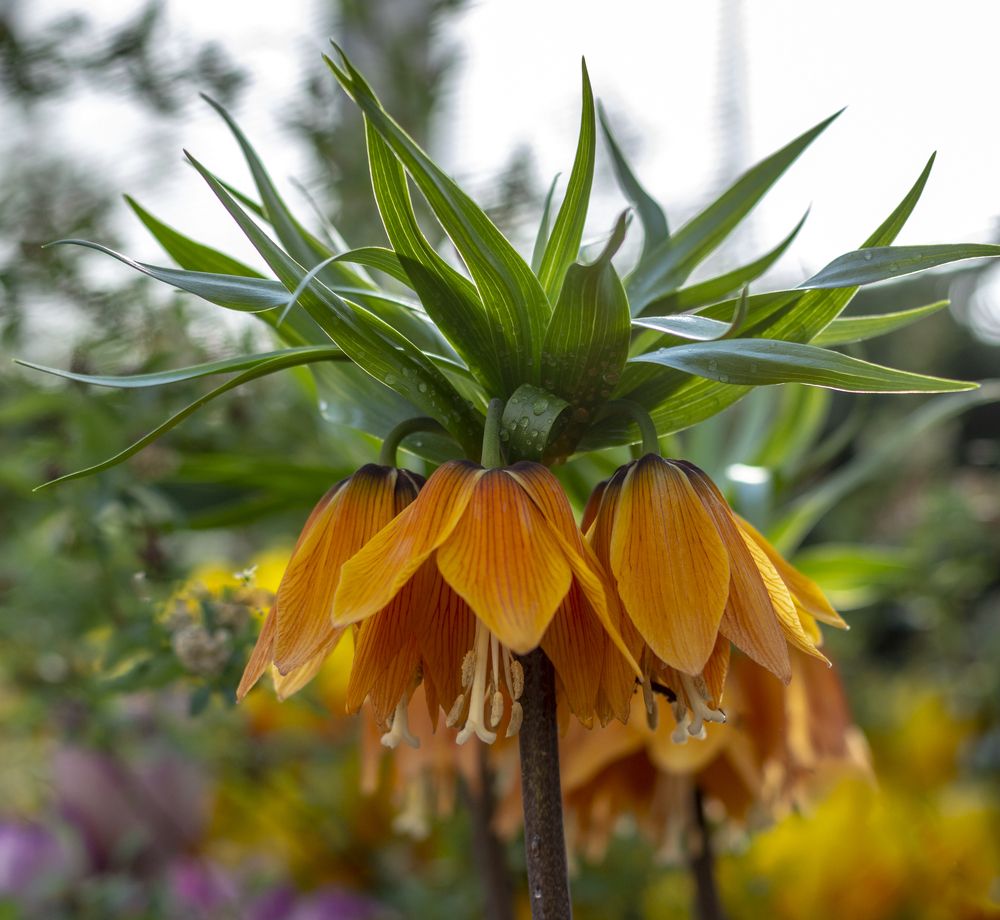 Photograph by Евгения Шулакова