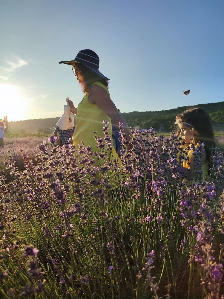 Photograph by Владимир Вялков