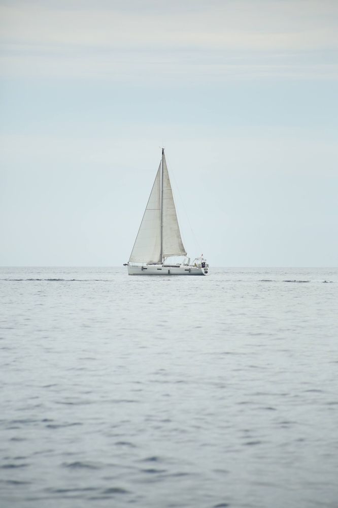 Photograph by Елена Хорошильцева