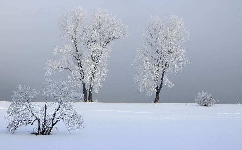 Photograph by Галина Хвостенко