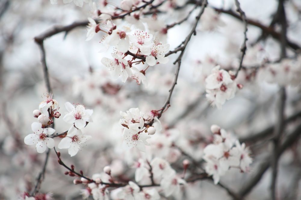 Photograph by Елена Хорошильцева