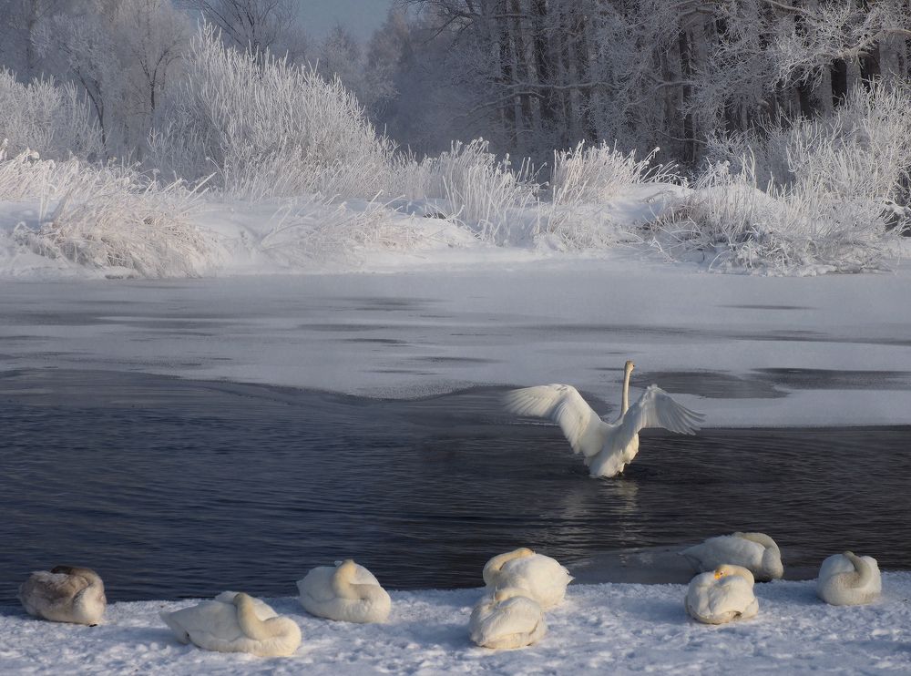Photograph by Галина Хвостенко