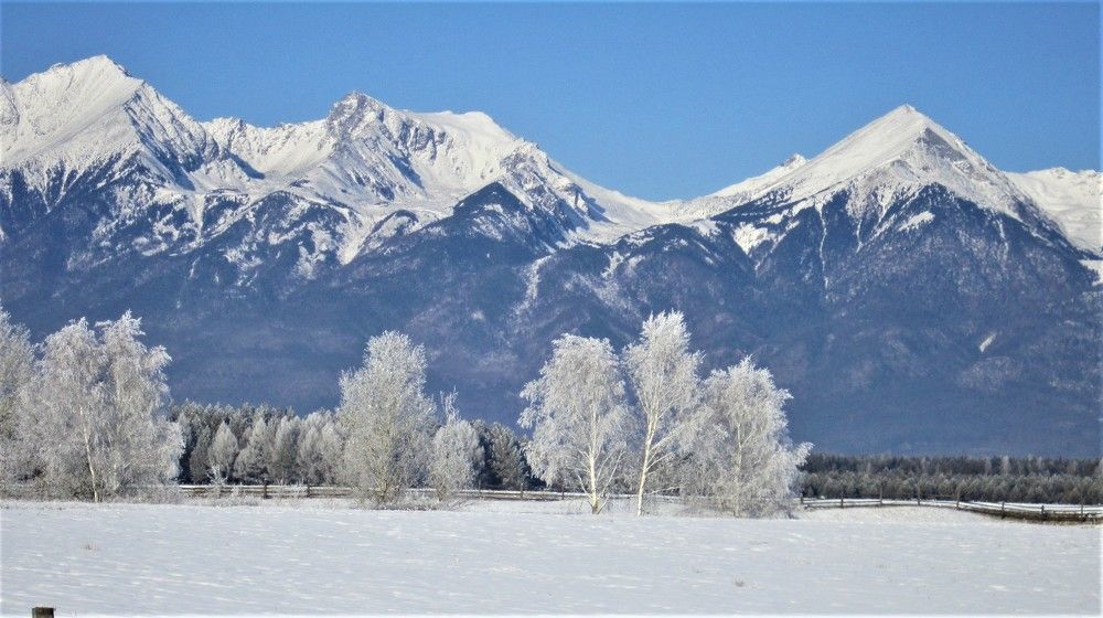 Морозный наряд.