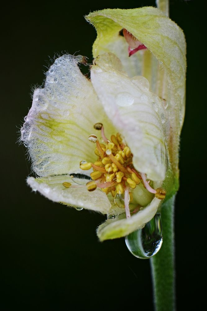 Photograph by Валерий