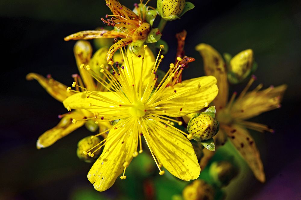 Photograph by Валерий