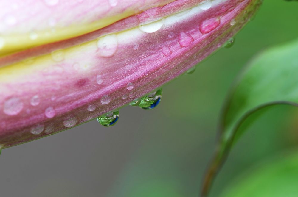 Photograph by Валерий