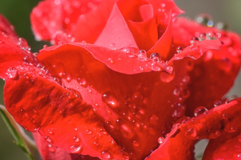 Photograph by Валерий