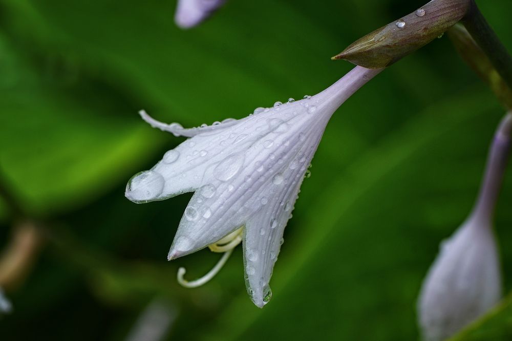 Photograph by Валерий