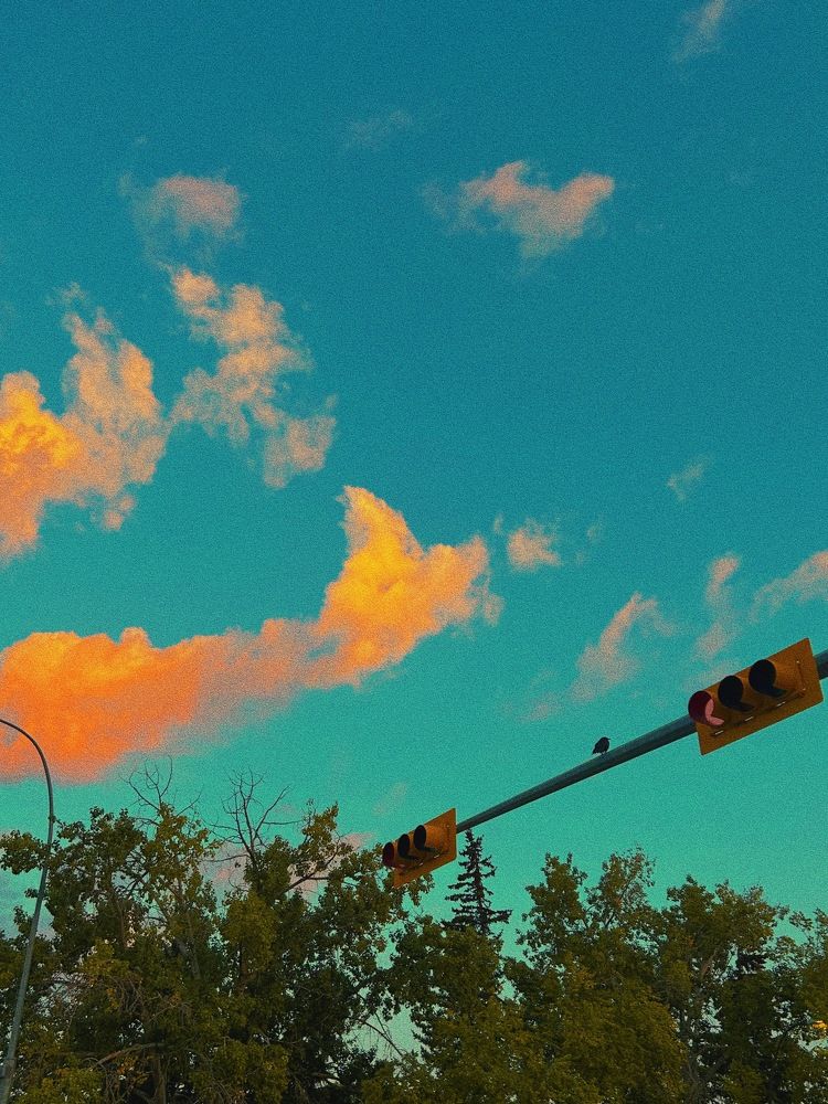 Photograph by Feden Simon