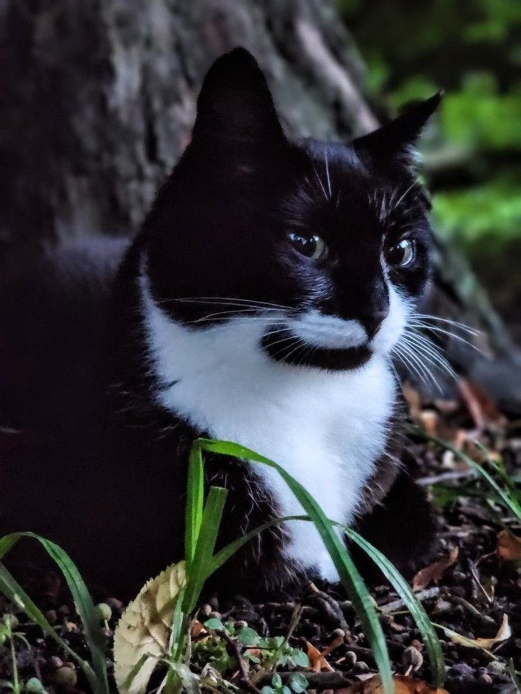 Photograph by Надежда Кудрявцева