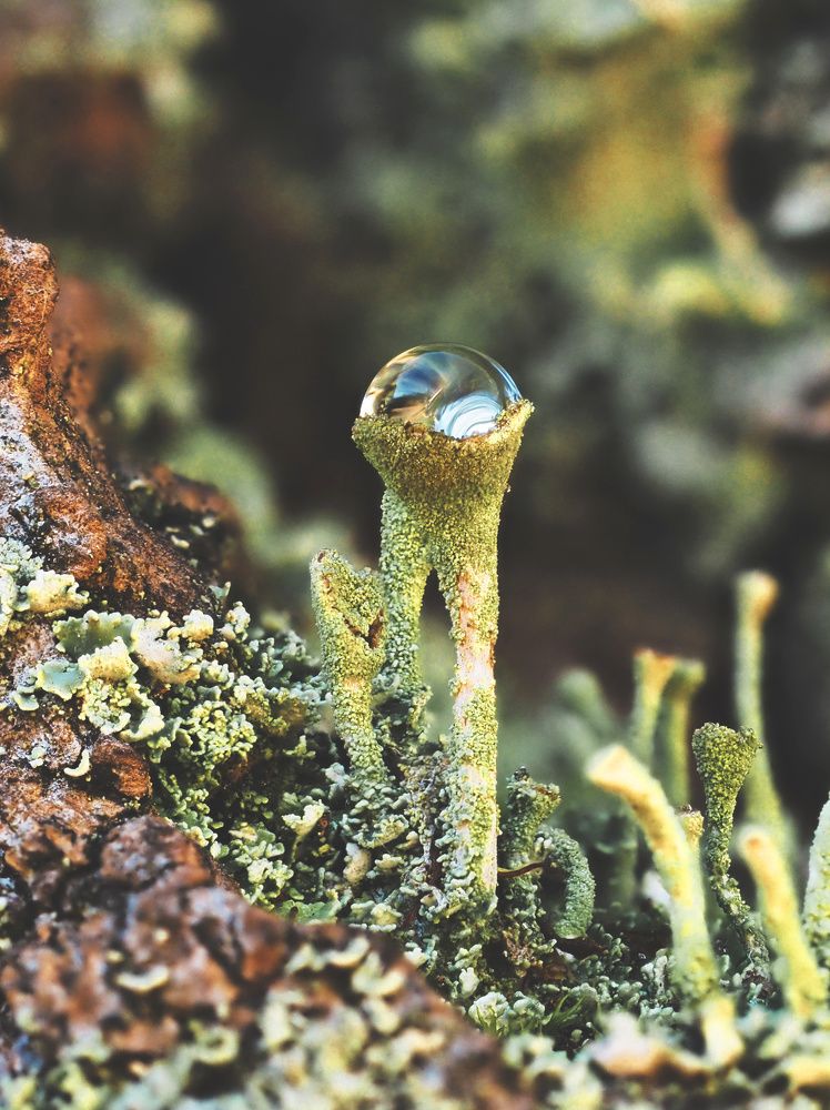 Photograph by Ирина Протченко