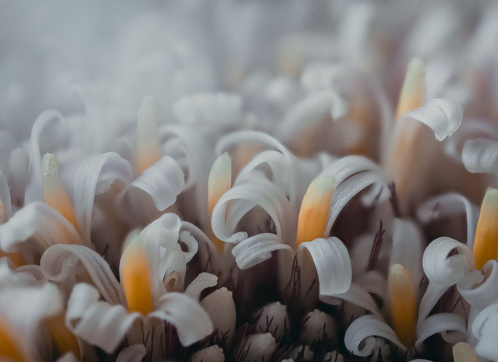 Photograph by Ирина Протченко