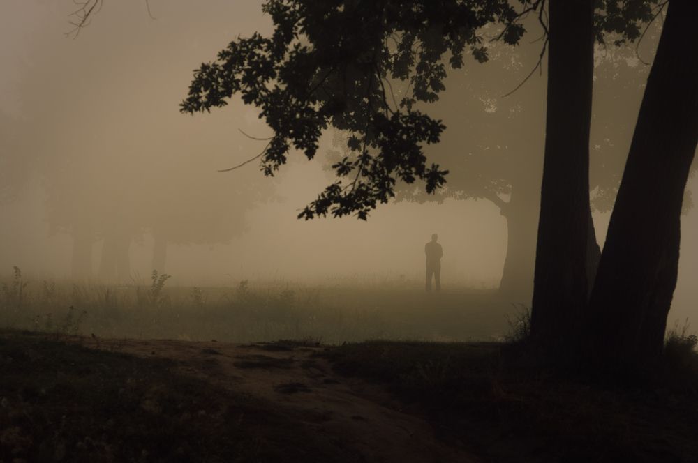 Photograph by Артём Аниськин