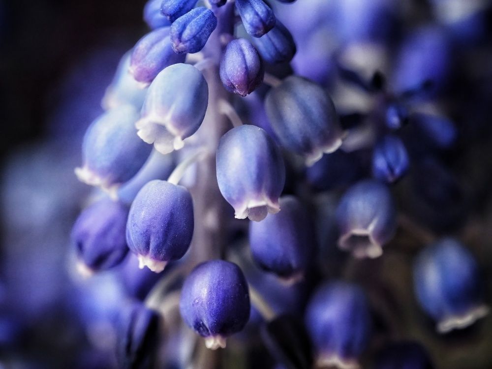 Photograph by Сергей Пермин