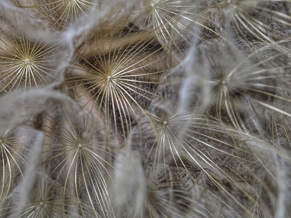 Photograph by Сергей Пермин