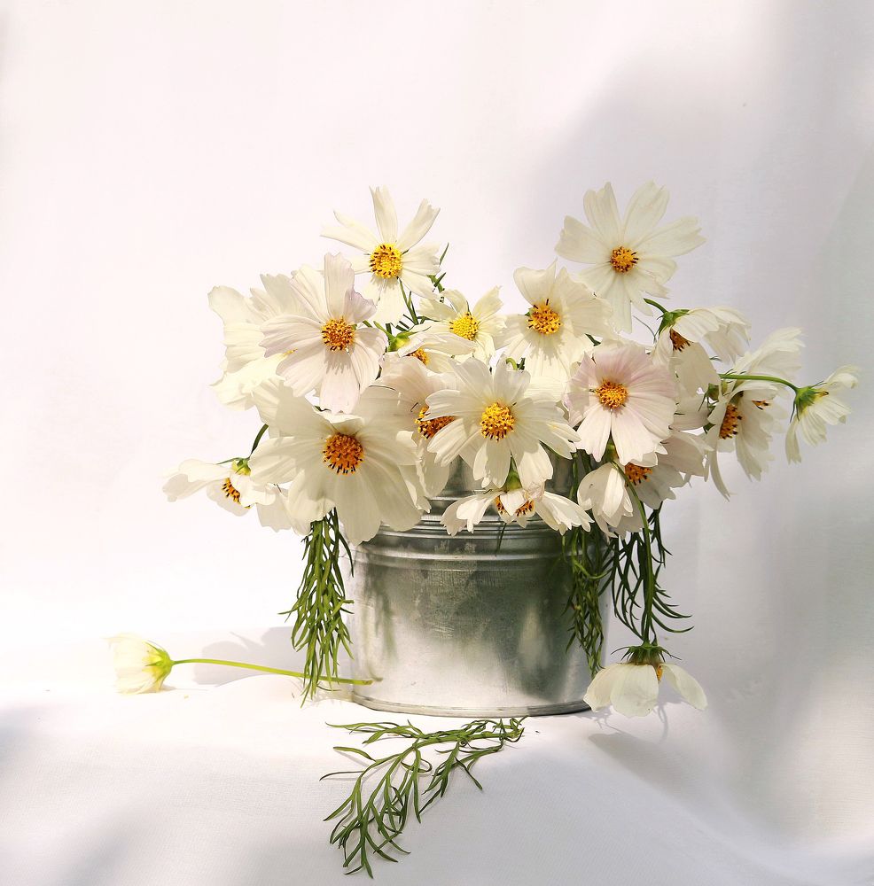 Photograph by Наталья Казанцева